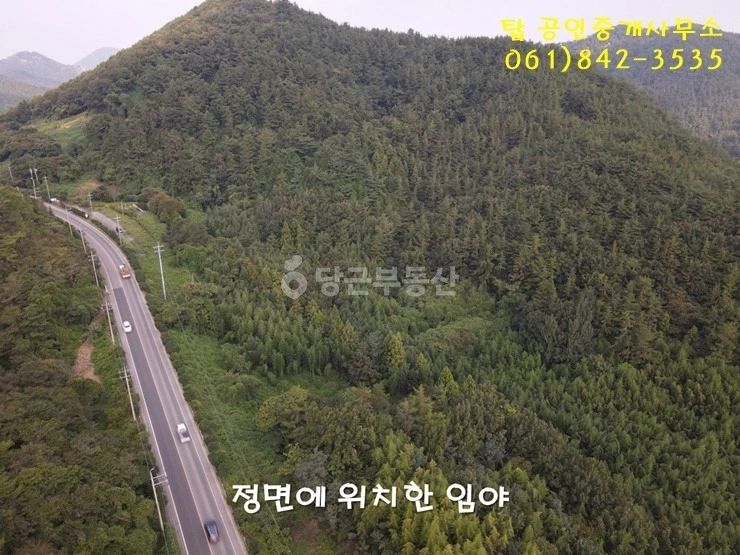 전남광주통합특별시 고흥군 포두면 토지 사진 1
