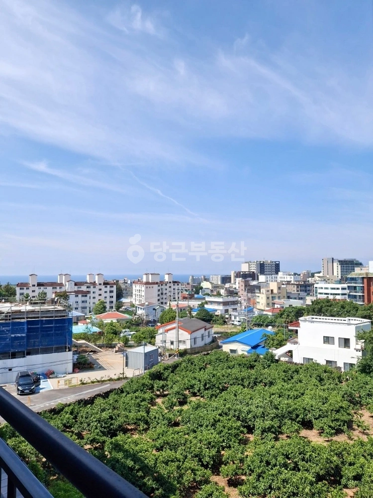 제주특별자치도 서귀포시 중문동 빌라(투룸 이상) 사진 1