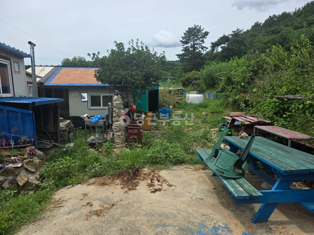 전남광주통합특별시 고흥군 포두면 토지 사진 1