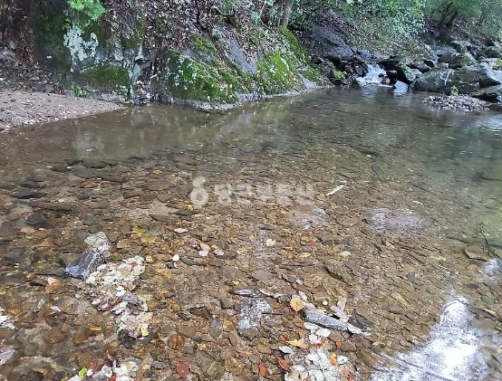 충청남도 공주시 유구읍 토지 사진 1