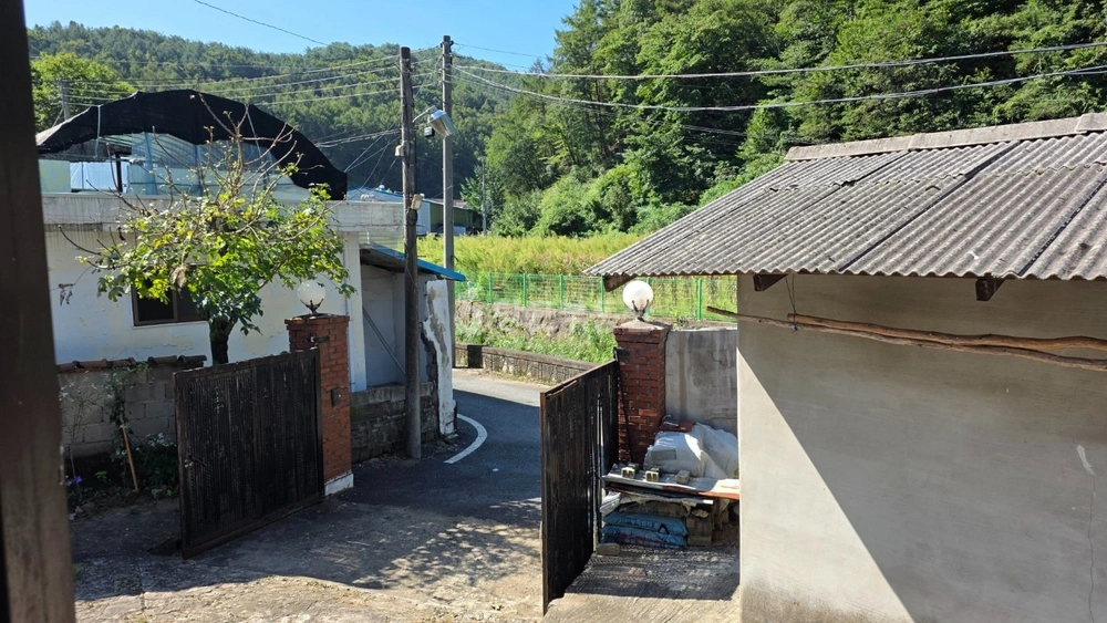 대전광역시 동구 하소동 단독/전원주택 사진 1