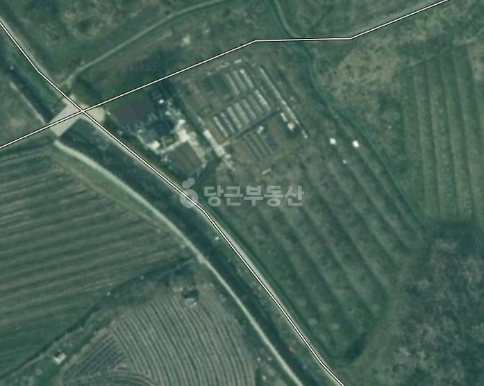 충청남도 천안시 동남구 유량동 토지 사진 1