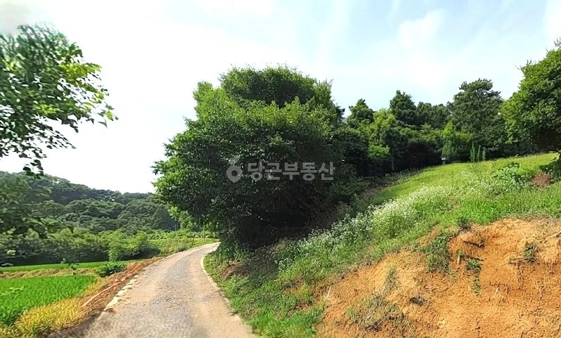 충청북도 청주시 흥덕구 오송읍 토지 사진 1