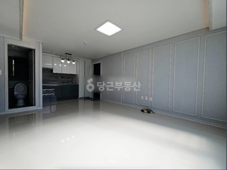 대전광역시 서구 괴정동 빌라(투룸 이상) 사진 1