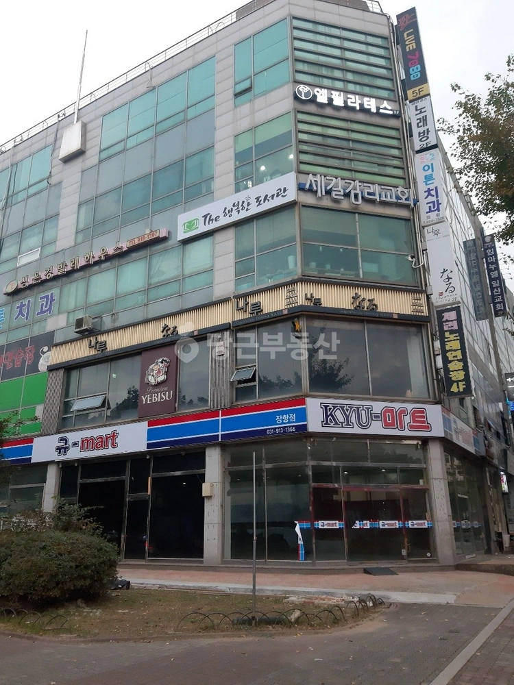 경기도 고양시 일산동구 장항동 상가 사진 1