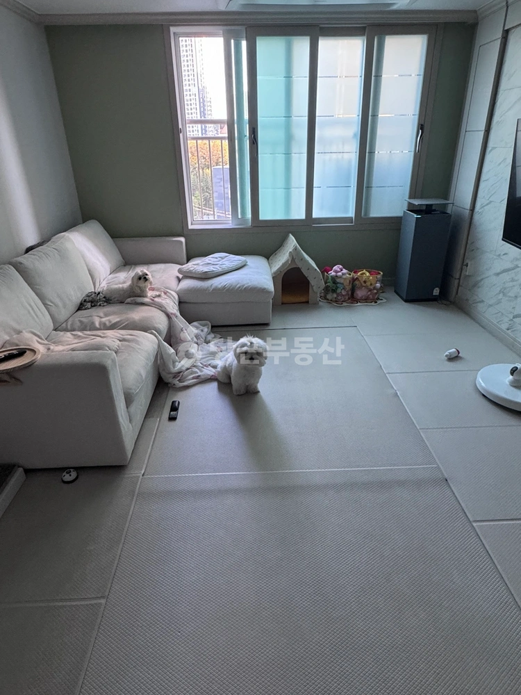 부산광역시 부산진구 부암동 오피스텔 사진 1