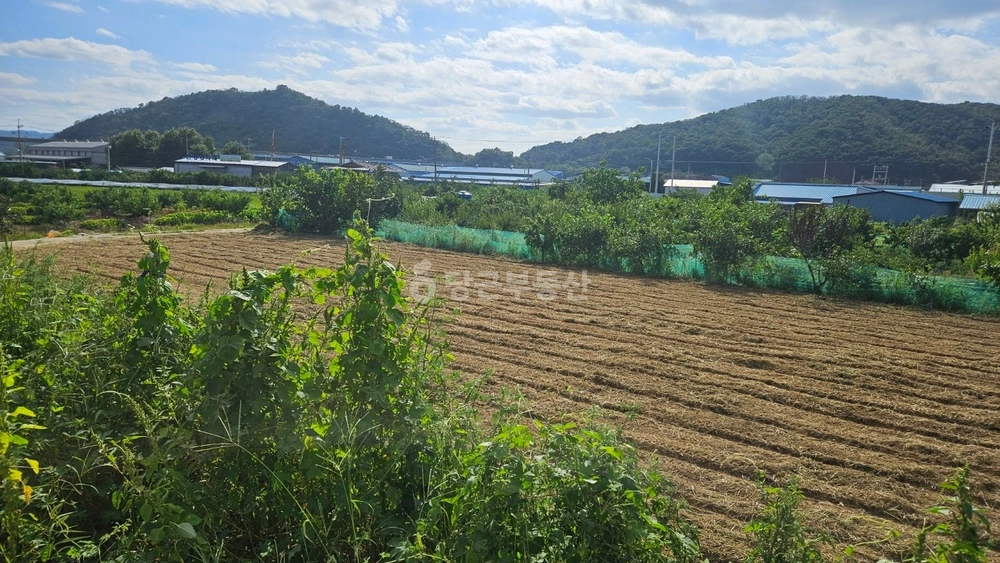 경상북도 영천시 도동 토지 사진 1