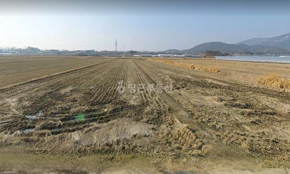 전남광주통합특별시 장성군 진원면 토지 사진 1