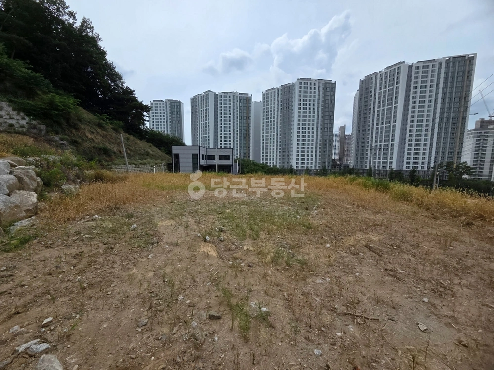 충청북도 청주시 상당구 운동동 토지 사진 1
