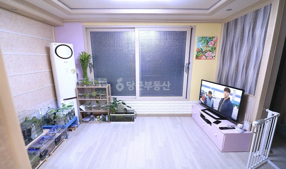 서울특별시 동작구 상도동 빌라(투룸 이상) 사진 1