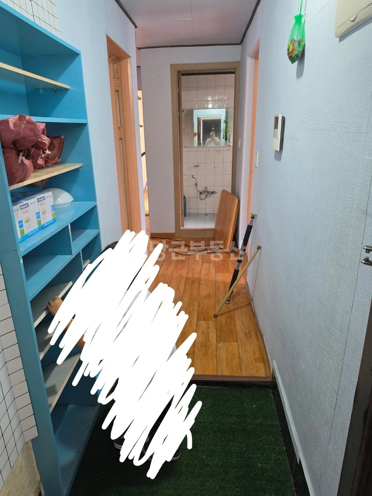 강원특별자치도 동해시 효가동 빌라(투룸 이상) 사진 1