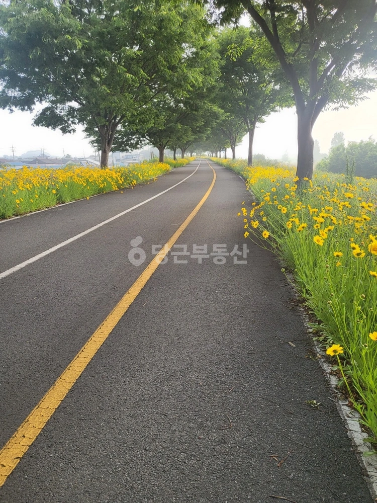 경상남도 밀양시 하남읍 단독/전원주택 사진 1