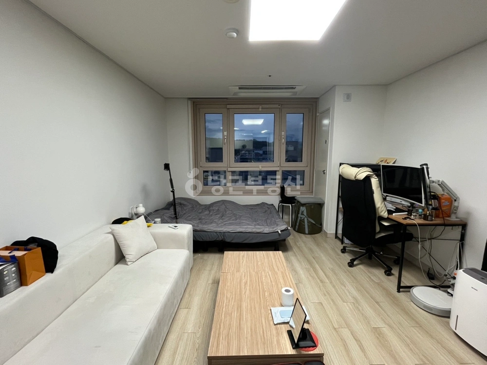 강원특별자치도 원주시 무실동 오피스텔 사진 1