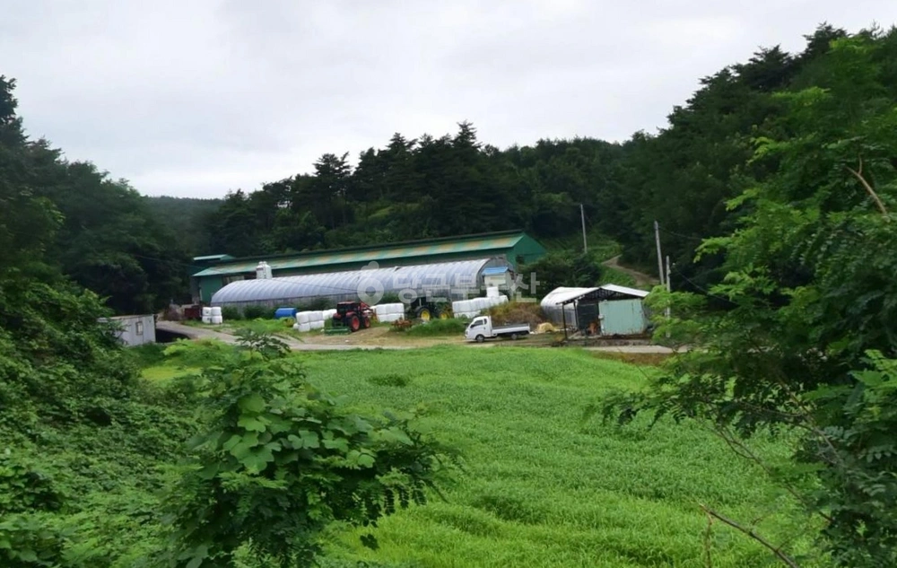강원특별자치도 양양군 양양읍 토지 사진 1