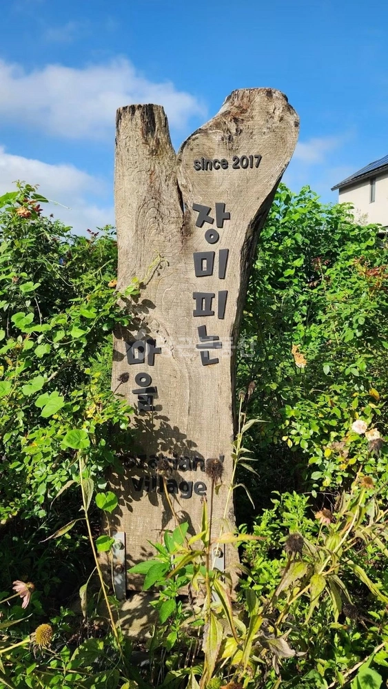 경기도 안성시 금광면 토지 사진 1