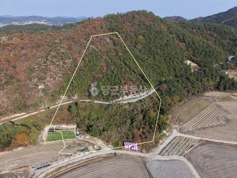 전남광주통합특별시 신안군 증도면 토지 사진 1