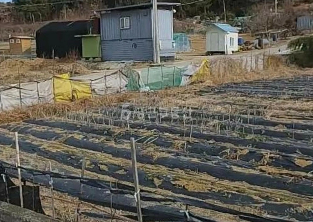 경상남도 창녕군 고암면 토지 사진 1