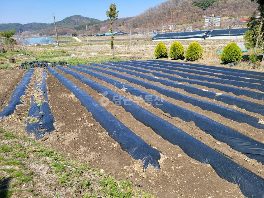 충청남도 부여군 홍산면 토지 사진 1