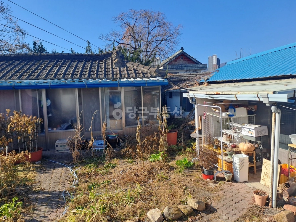 경상북도 경산시 하양읍 단독/전원주택 사진 1