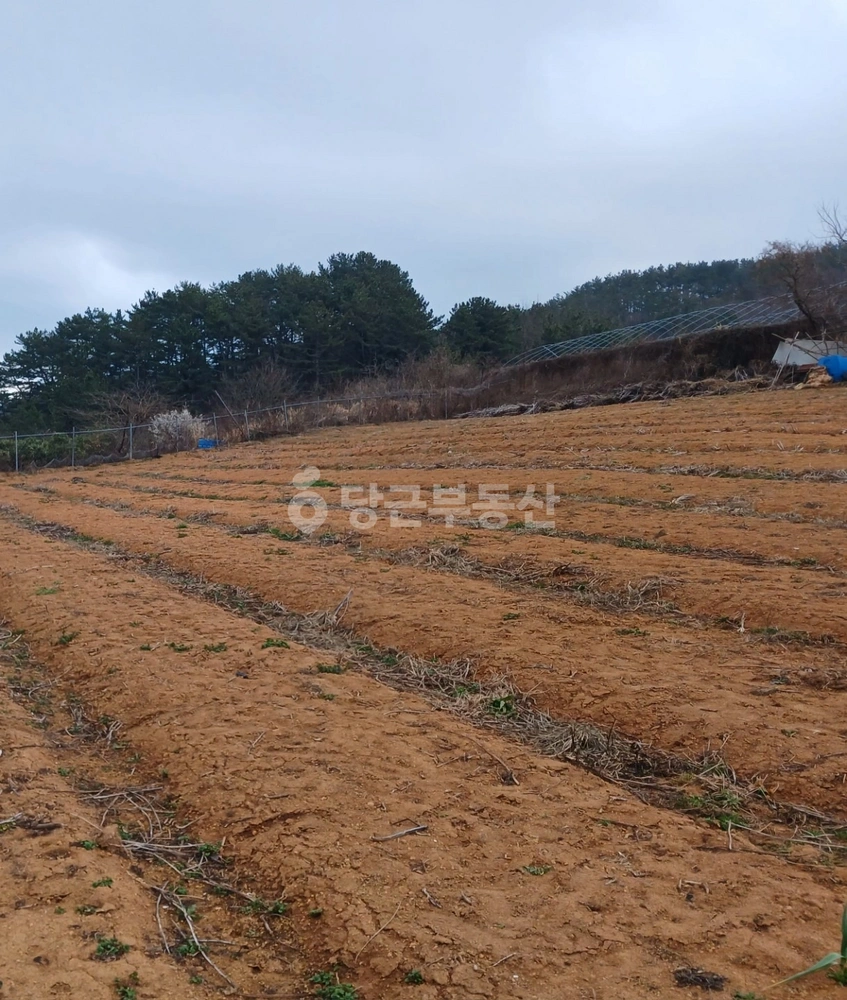 경상남도 통영시 한산면 토지 사진 1