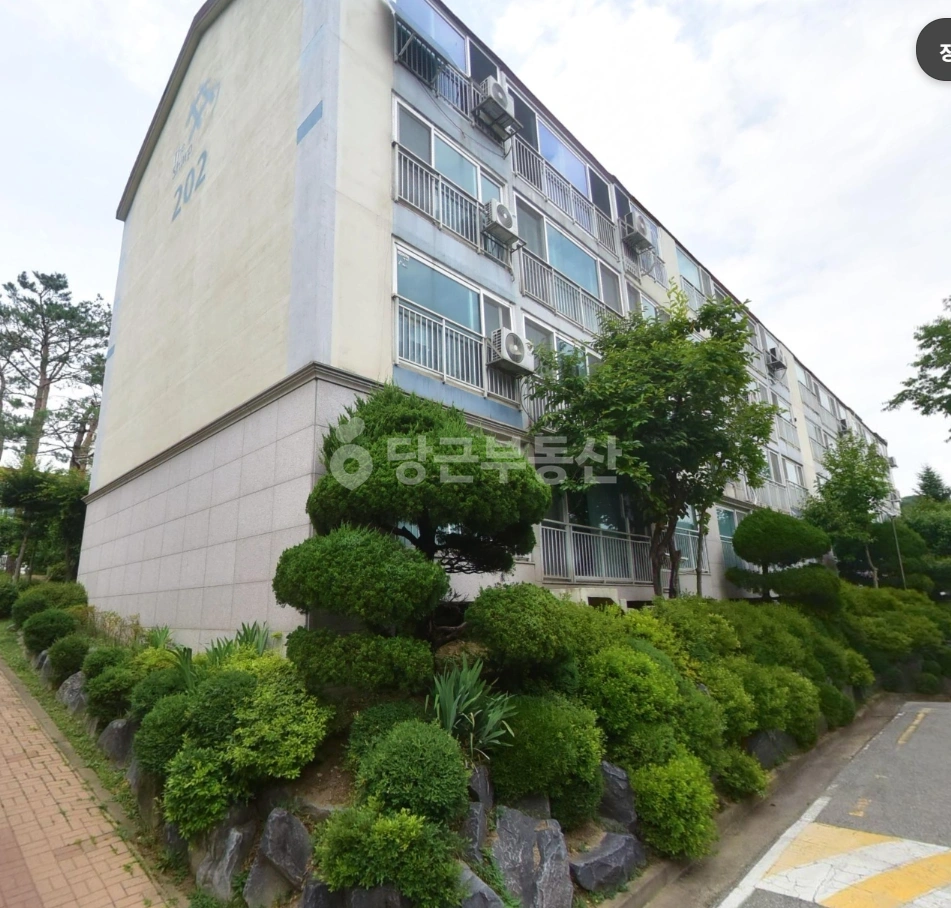 경기도 성남시 분당구 서현동 아파트 사진 1