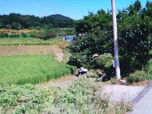 전북특별자치도 고창군 무장면 토지 사진 1