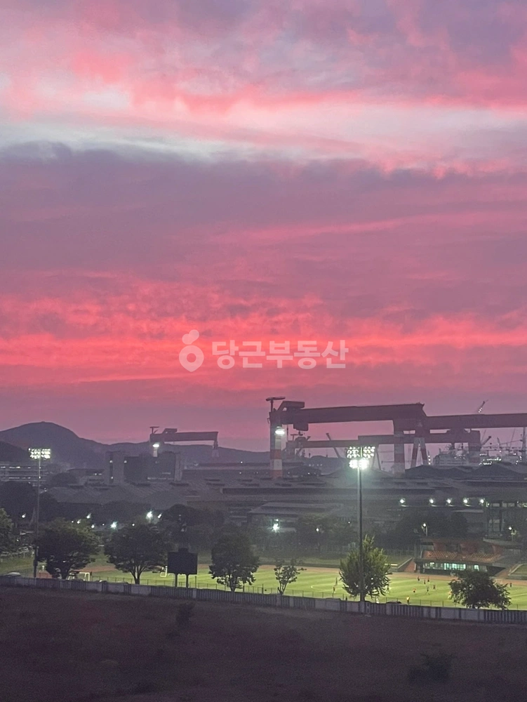 경상남도 거제시 장평동 오피스텔 사진 1