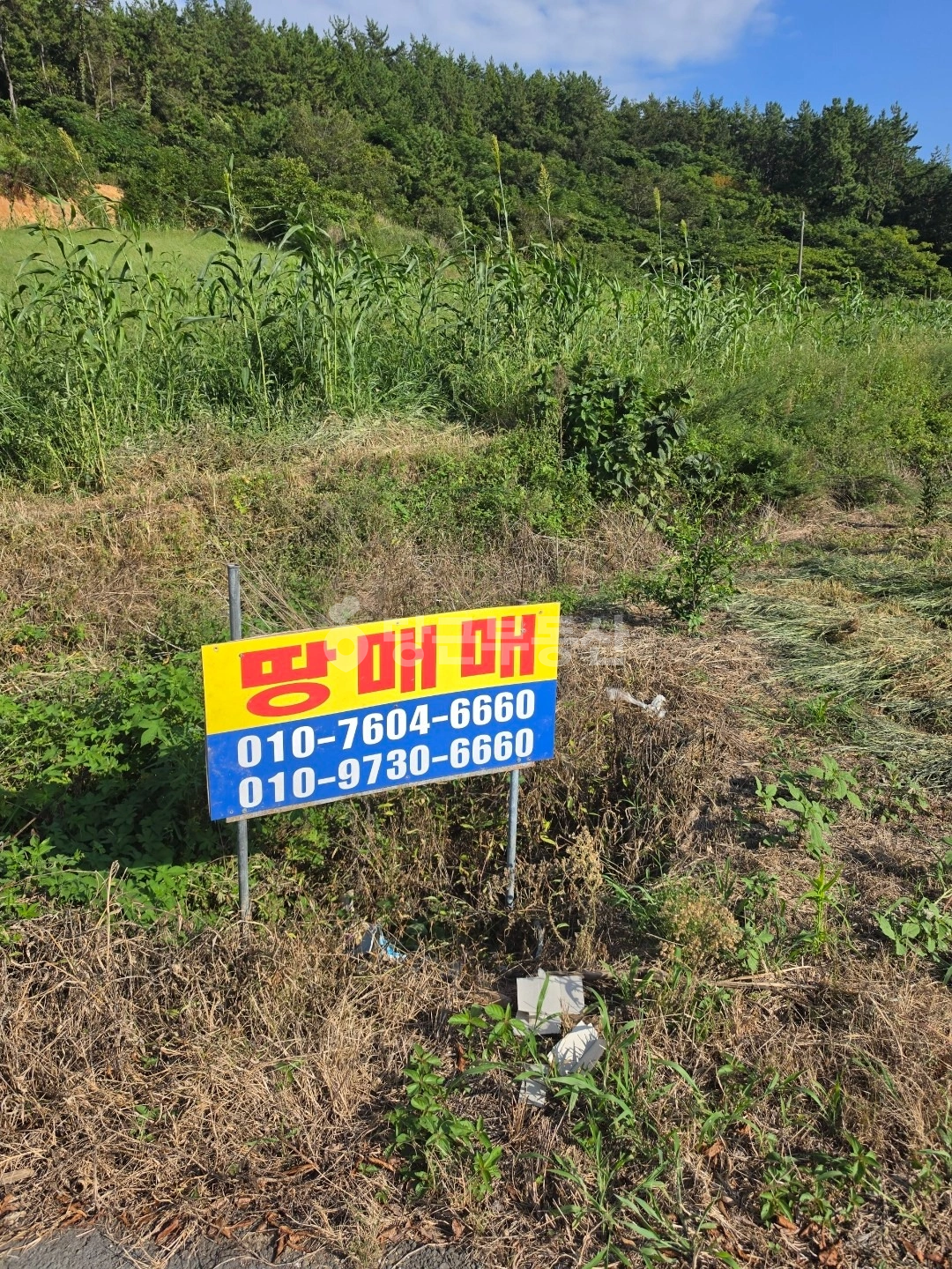매물 썸네일