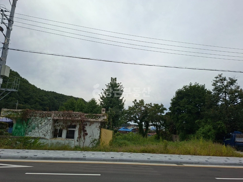 충청남도 예산군 예산읍 토지 사진 1