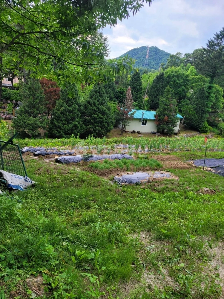 경기도 포천시 소흘읍 토지 사진 1