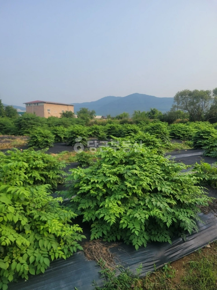 경기도 양주시 백석읍 토지 사진 1