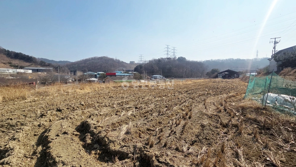 충청북도 청주시 서원구 남이면 토지 사진 1