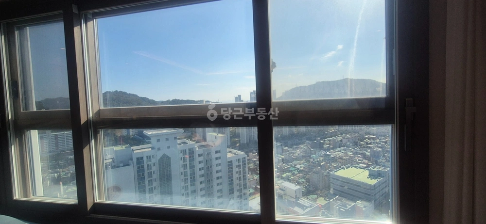 부산광역시 사하구 괴정동 아파트 사진 1