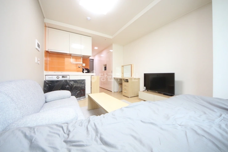 서울특별시 강남구 역삼동 오피스텔 사진 1
