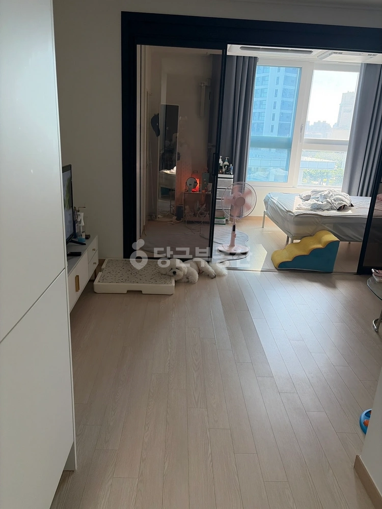 충청남도 천안시 동남구 문화동 오피스텔 사진 1