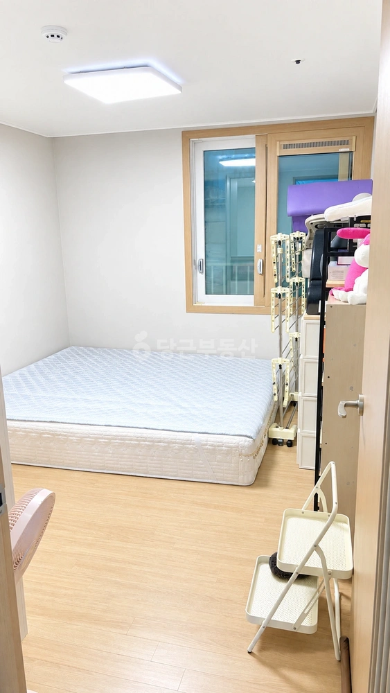 강원특별자치도 강릉시 송정동 아파트 사진 1