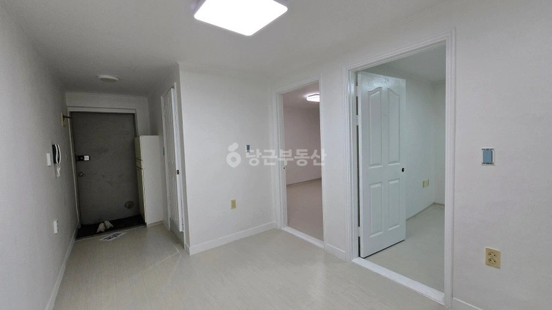 서울특별시 서초구 양재동 빌라(투룸 이상) 사진 1