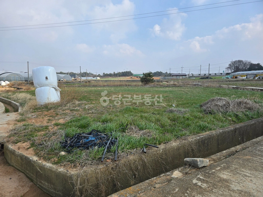 전남광주통합특별시 무안군 망운면 토지 사진 1