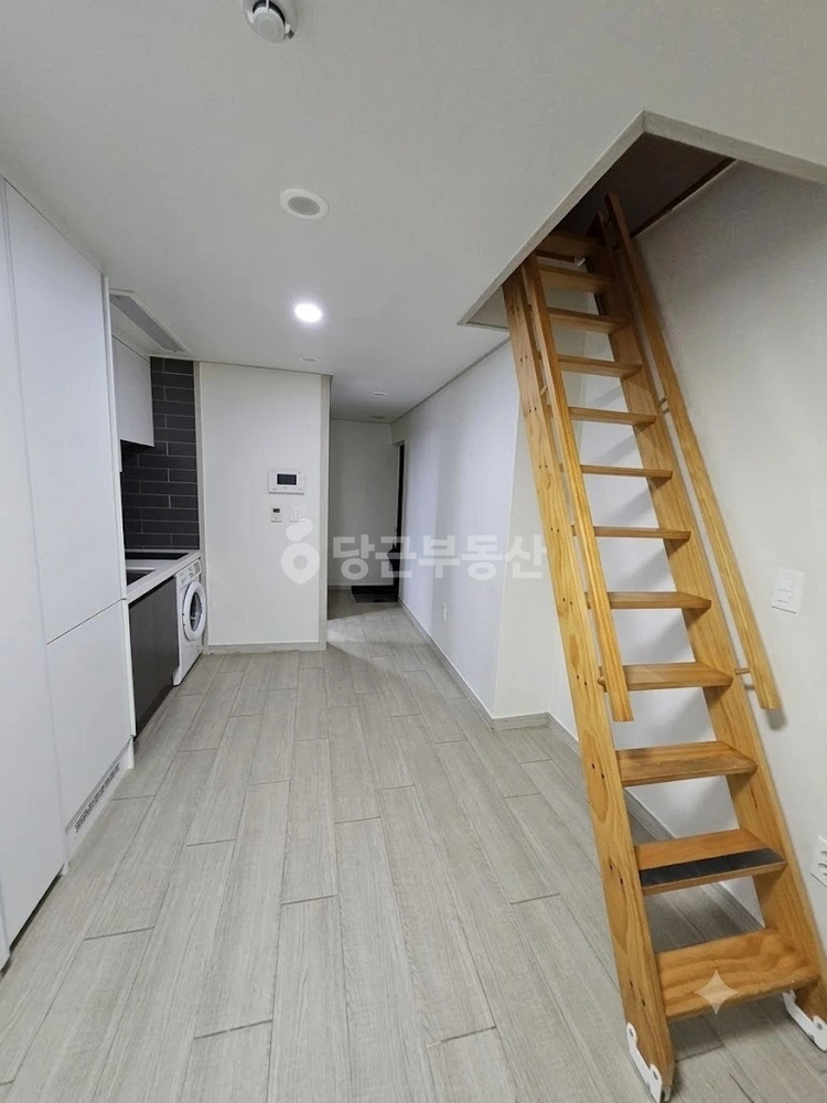 서울특별시 강남구 역삼동 원룸 사진 1