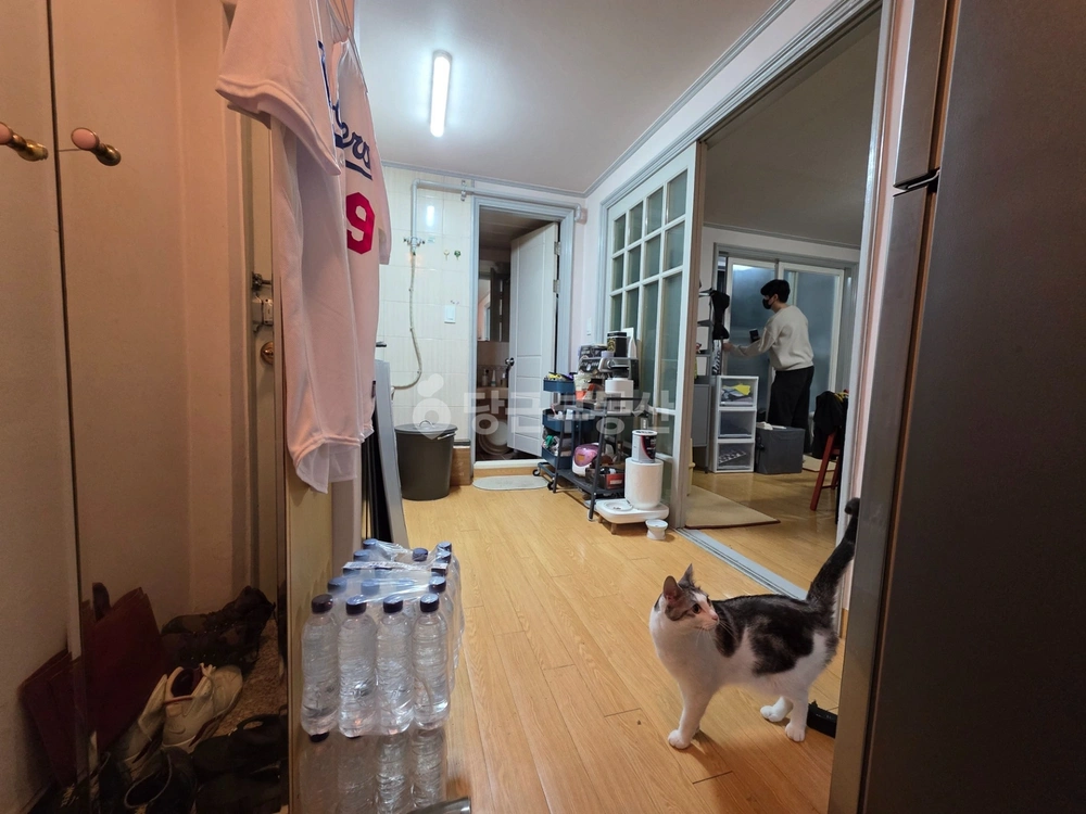 서울특별시 강남구 논현동 원룸 사진 1