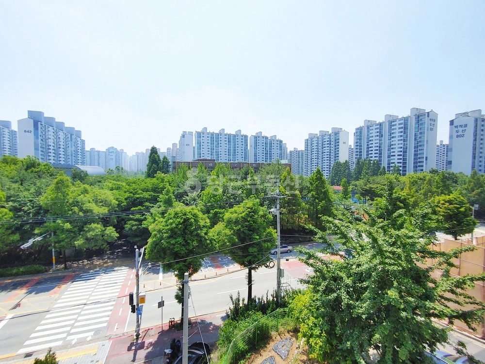 경기도 수원시 영통구 신동 원룸 사진 1