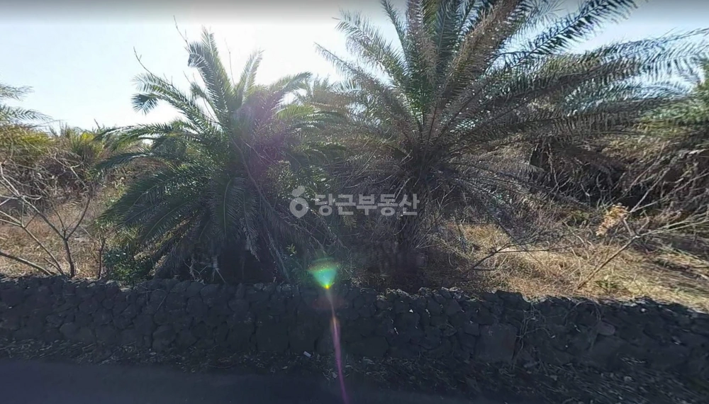 제주특별자치도 서귀포시 대정읍 토지 사진 1