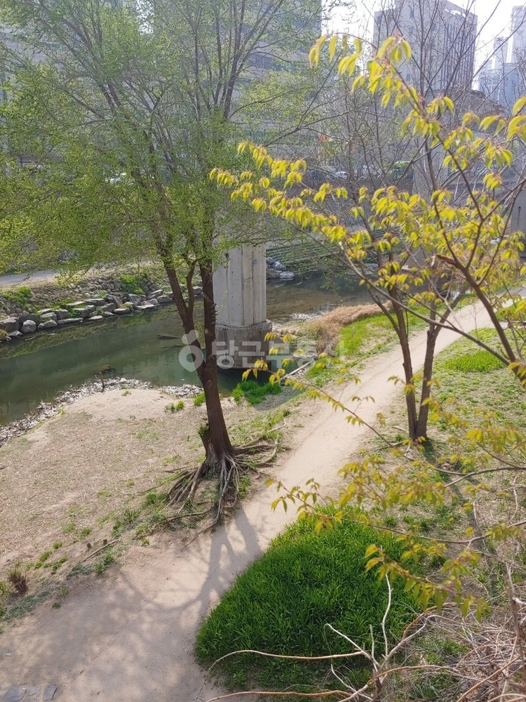 서울특별시 동대문구 용두동 오피스텔 사진 1