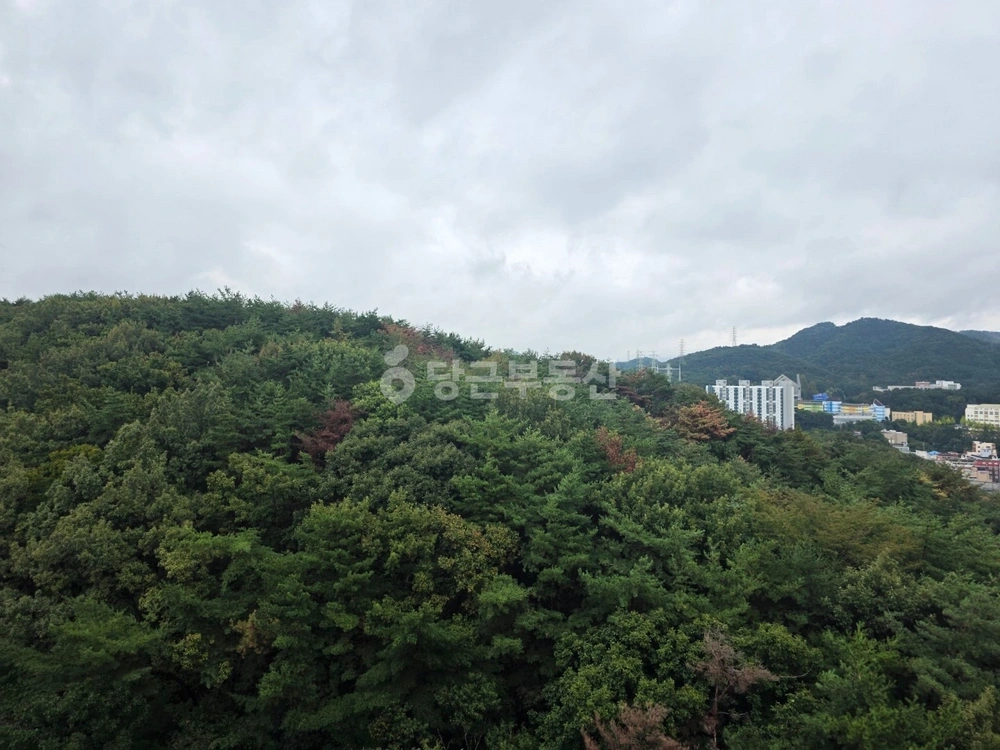 부산광역시 금정구 구서동 아파트 사진 1
