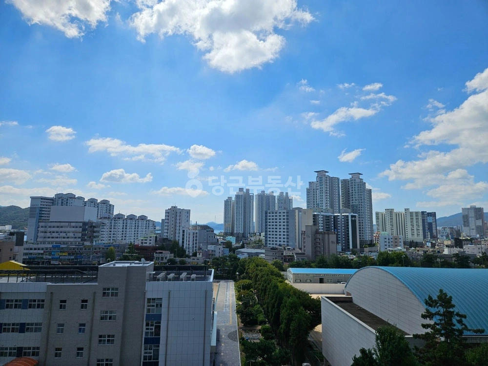 경상남도 창원시 마산합포구 산호동 빌라(투룸 이상) 사진 1