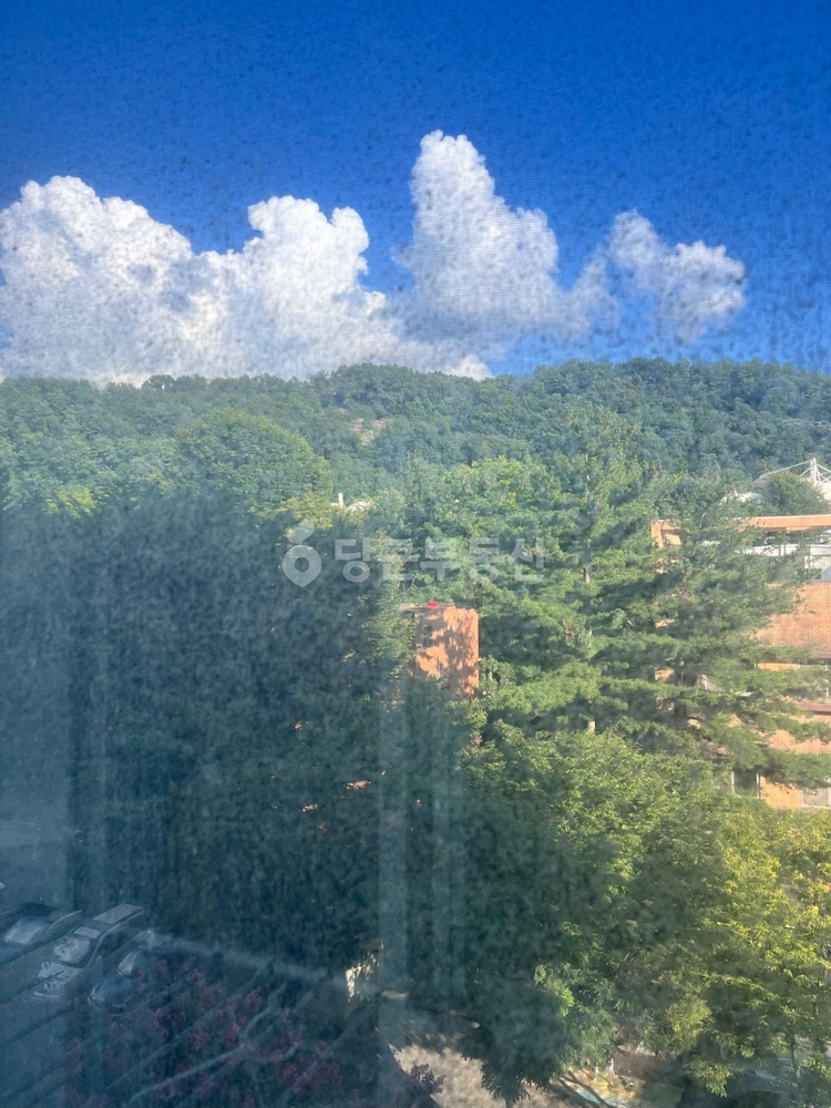 경기도 군포시 금정동 아파트 사진 1