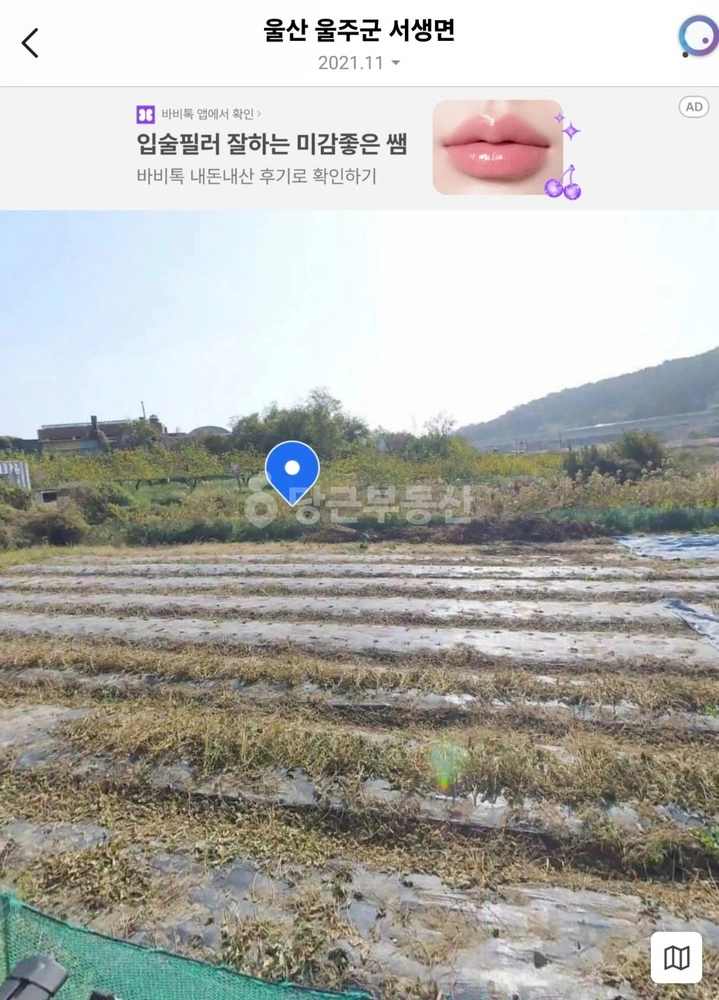 울산광역시 울주군 서생면 토지 사진 1