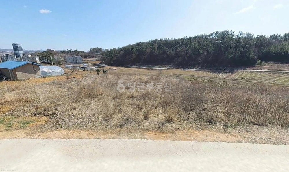 전남광주통합특별시 함평군 함평읍 토지 사진 1