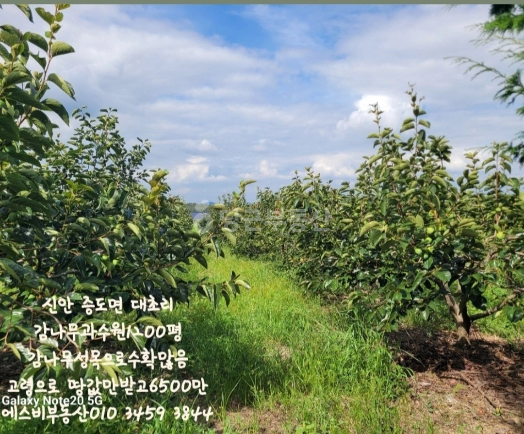 매물 썸네일