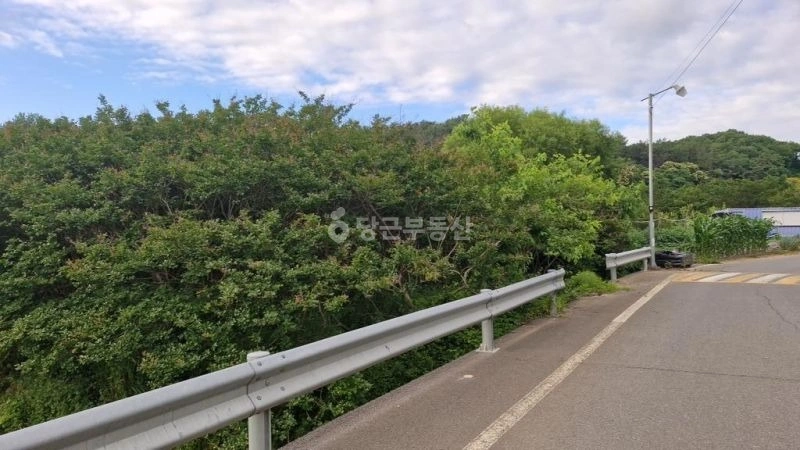 경상남도 사천시 축동면 토지 사진 1